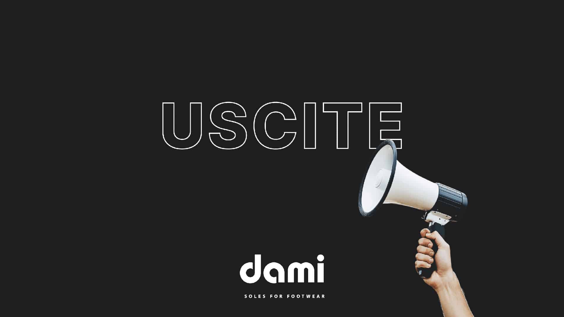 dami press stampa